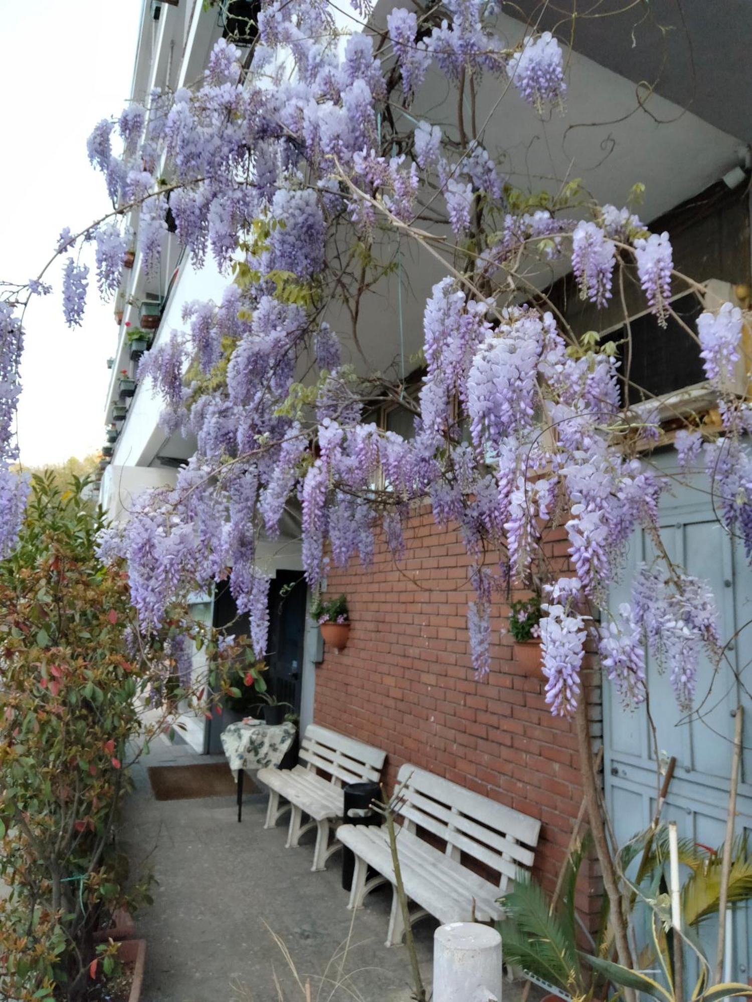 Hotel Lombardia Seveso Exterior foto